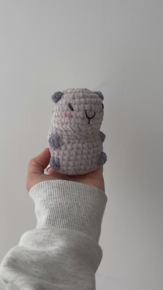 Etain the Capybara